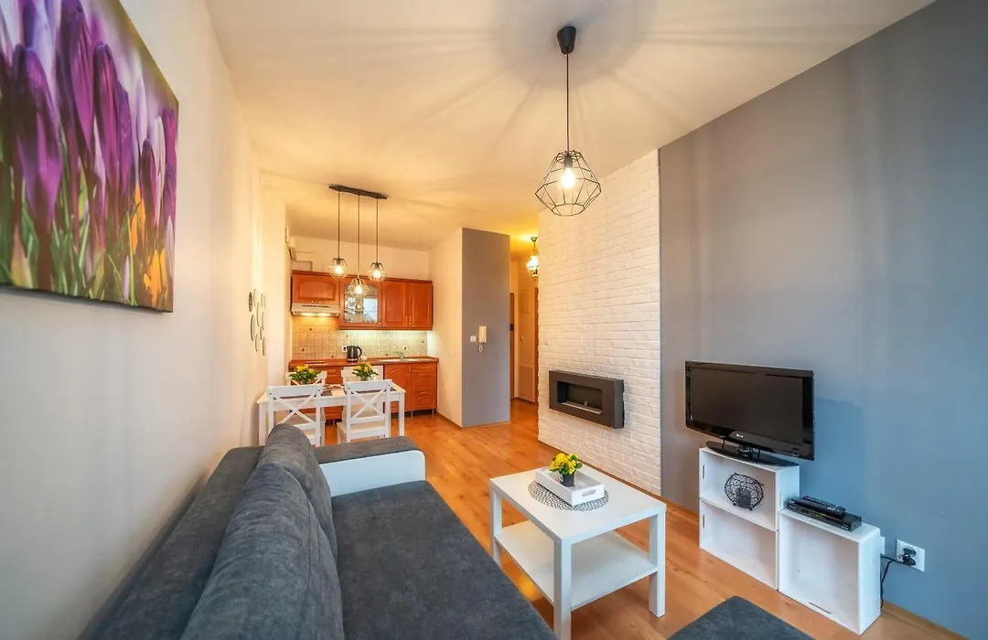 Apartamenty Viva Maria Apart Zakopane SPA z basenem, jacuzzi i parkingiem-1